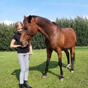Coachpraktijk-Schouten-Wemeldinge-Coaching-paarden-individueel-groep-persoonlijke-ontwikkeling