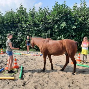 Ponykamp